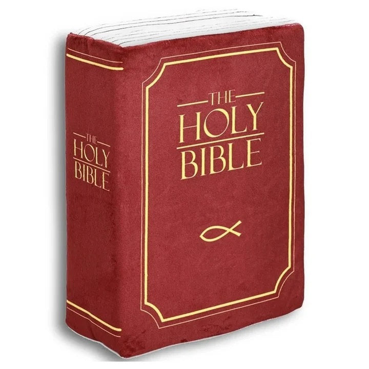 Bible Pillow of Peace – Rest in His Word When Life Gets Hard 💙📖